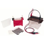 Blotting System (6)